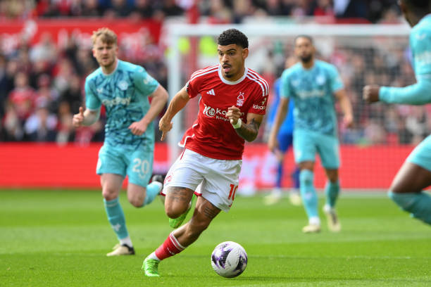 德有机会在 德有机会在