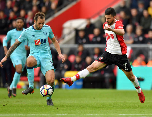 是皇家贝蒂 是皇家贝蒂